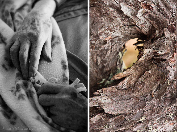 06 photography tips thinking outside the frame